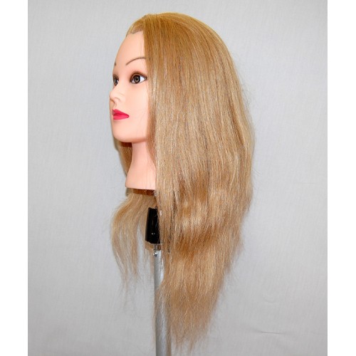  Bellrino 20-22 Cosmetology Mannequin Manikin Training Head  with Human Hair (CASEY) : Beauty & Personal Care